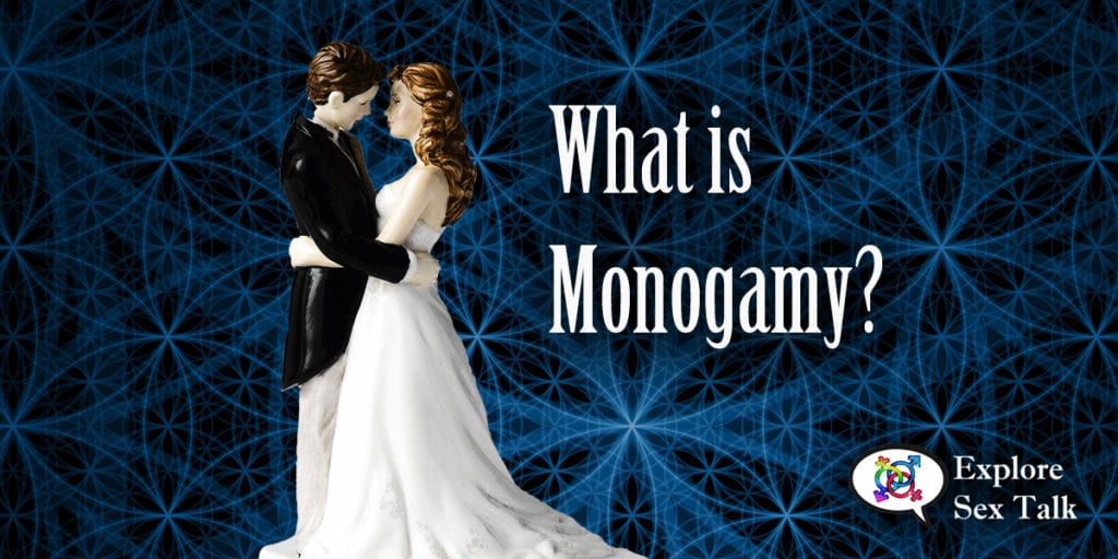 what is monogamy