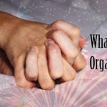 what is an orgasm