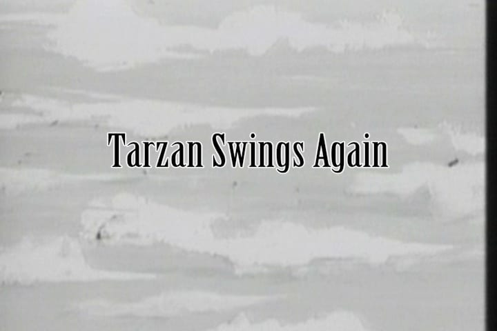 tarzan swings again