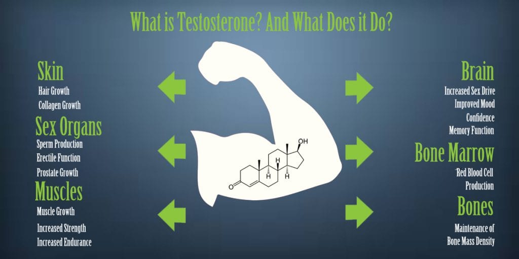 what is testosterone and what does it do