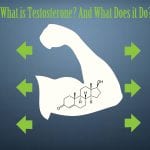 what is testosterone and what does it do