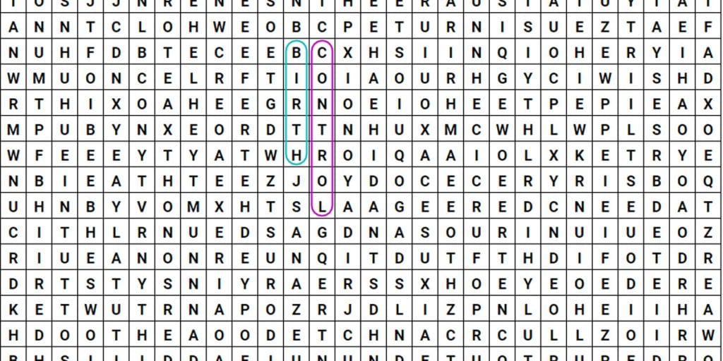 birth control wordsearch