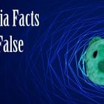 chlamydia facts true or false