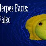 genital herpes true or false