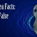 gonorrhea facts true or false