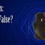 HIV facts true or false