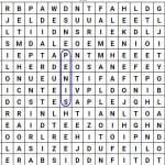 penis wordsearch