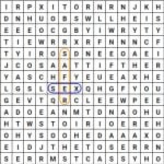 safer sex wordsearch