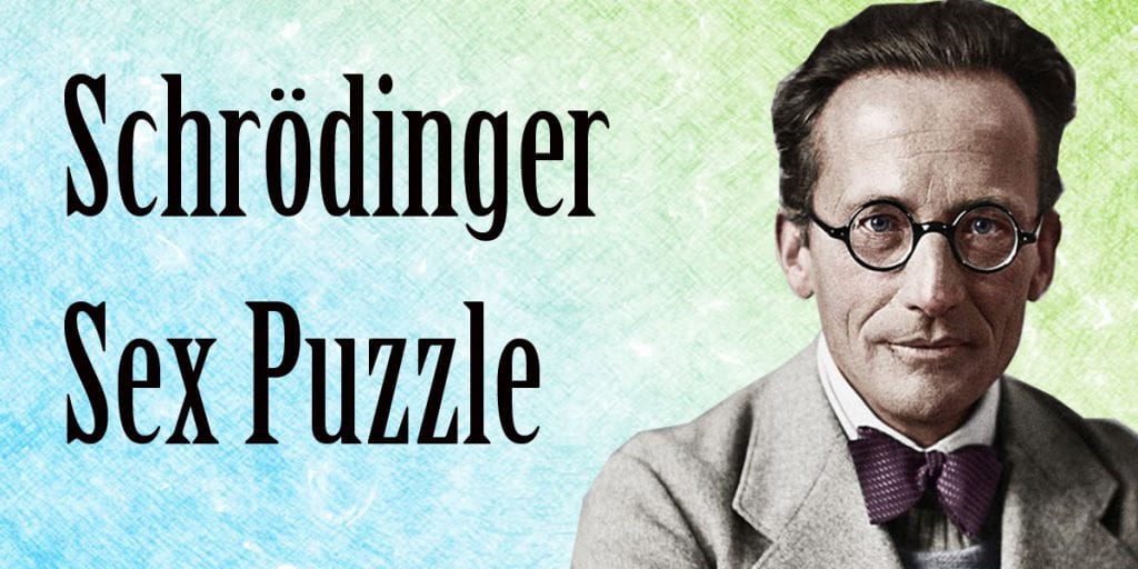 Schrödinger sex puzzle
