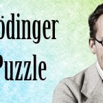 Schrödinger sex puzzle
