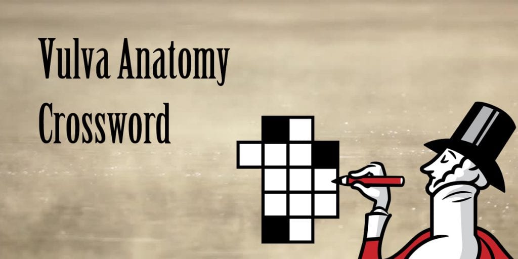Vulva anatomy crossword