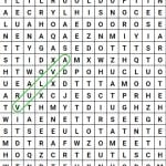 vulva wordsearch