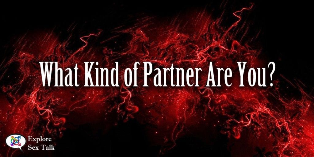 what kind of partner are you