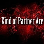 what kind of partner are you