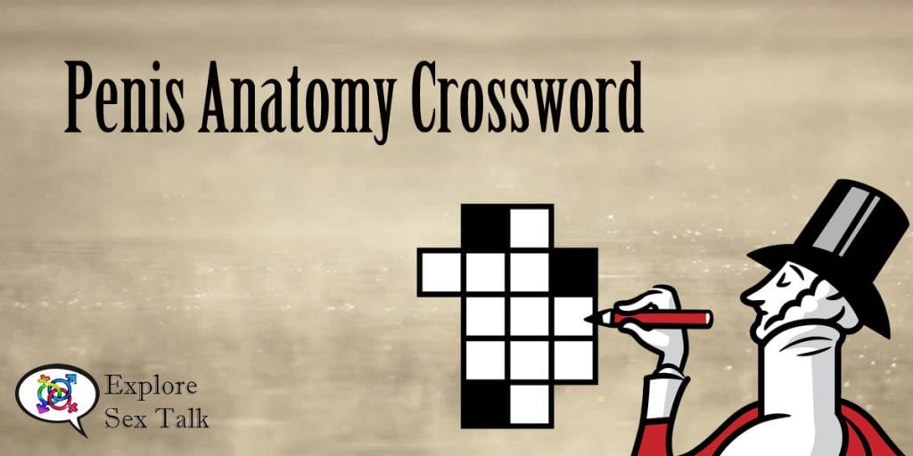 Penis anatomy crossword