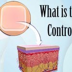 what is the birth control patch