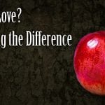 is it lust or love? how to tell the difference