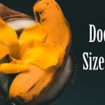 does penis size matter