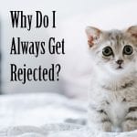 Why do I always get rejected