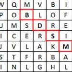 BDSM wordsearch