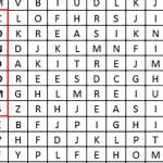 condoms wordsearch