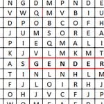 gender wordsearch