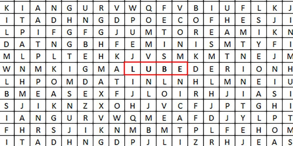 lube wordsearch