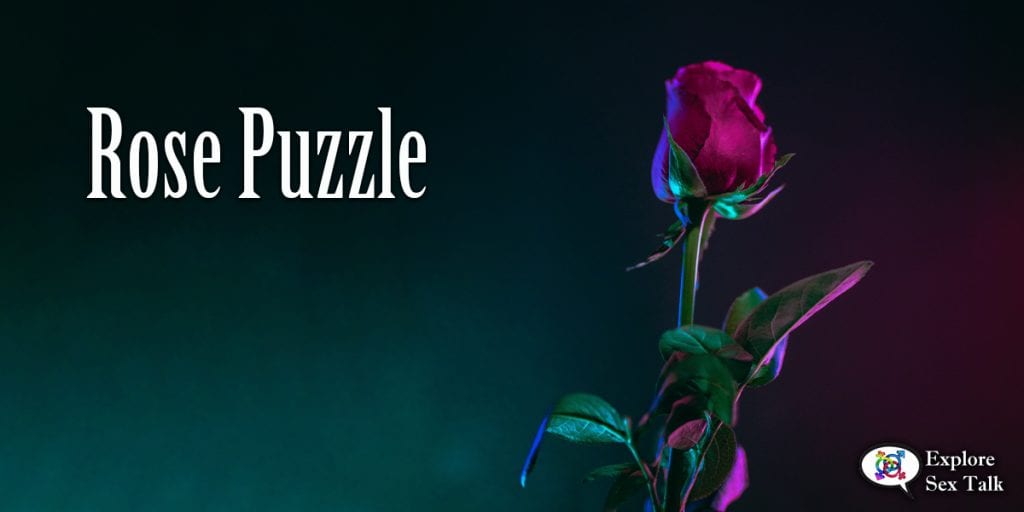 rose puzzle