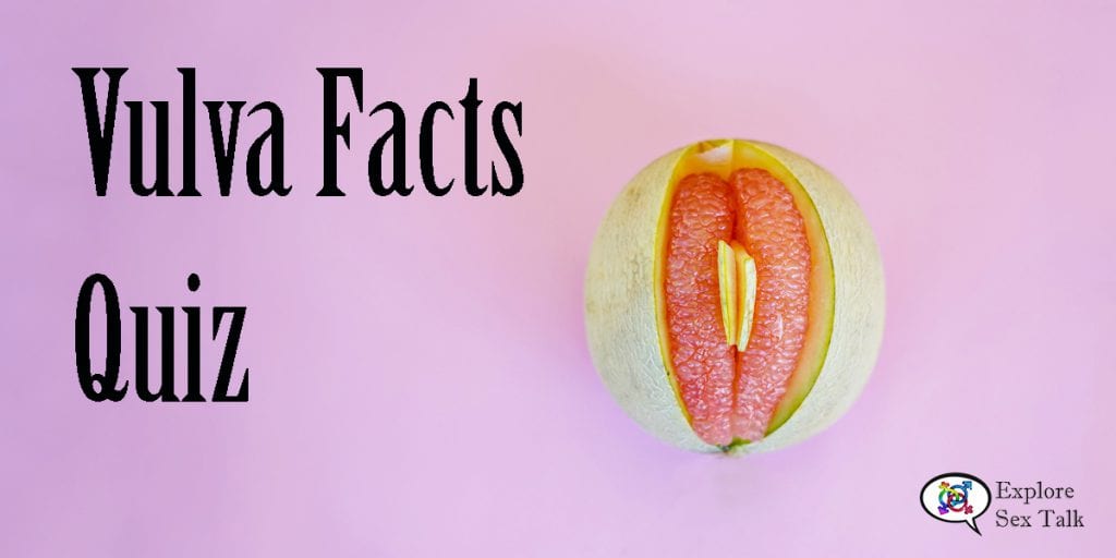 vulva facts quiz