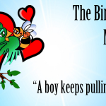 birds and bees made easy: a boy is pulling my hair