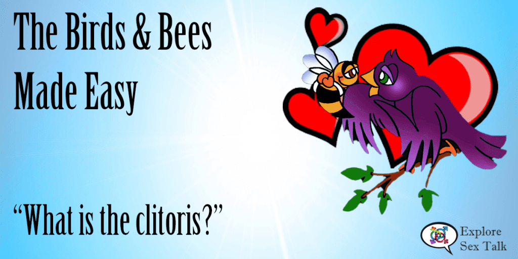 birds and bees made easy covers what is the clitoris